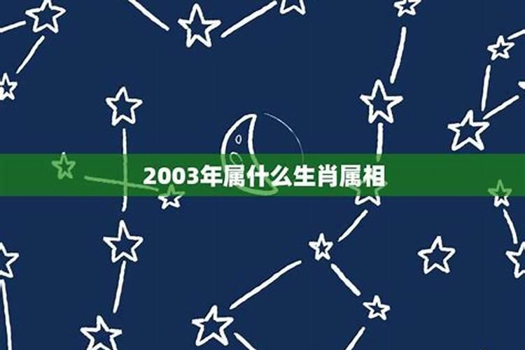 2003年是是什么生肖