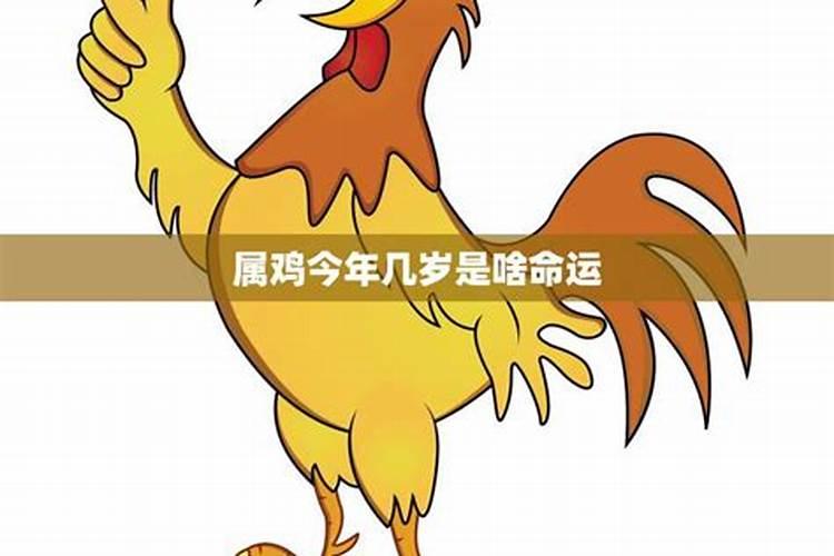 2023年属鸡的年龄虚岁