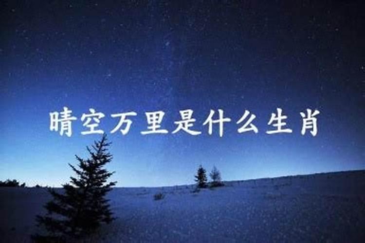 晴空万里是什么生肖数字