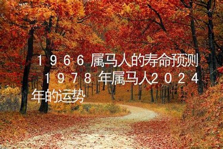 属猪人2024年2月运势如何