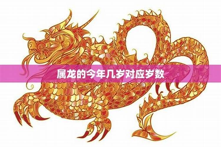 2023属龙的今年多少岁了