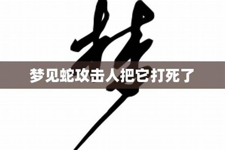 梦见蛇咬人然后把蛇打死了