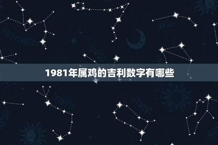 1981年属猴的吉利楼层