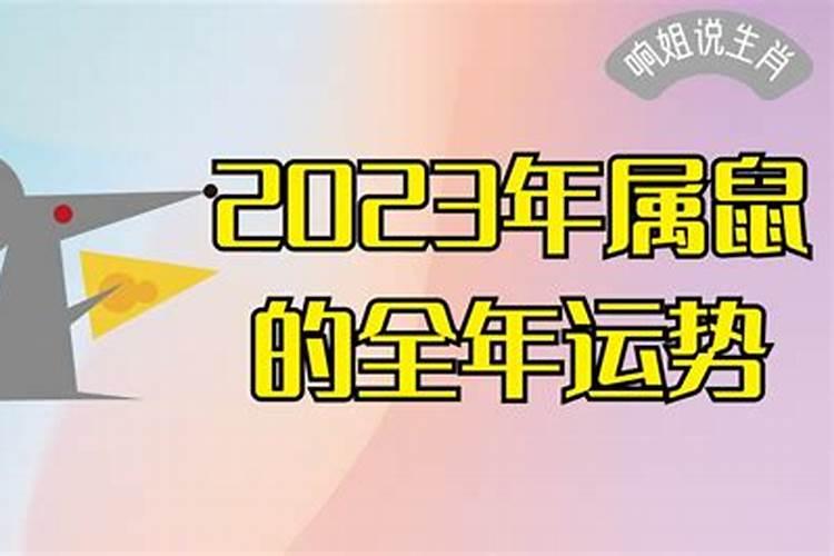 鼠属相2023年运势大全