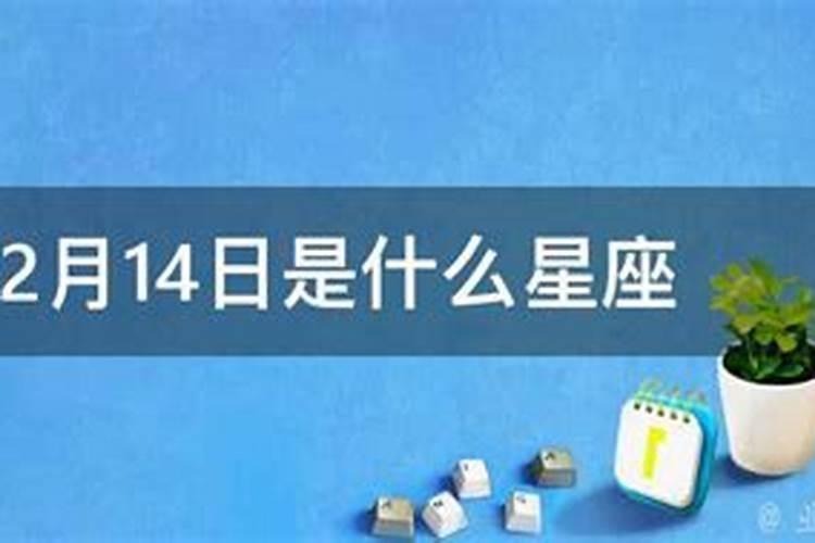 农历1970年12月15日是什么星座