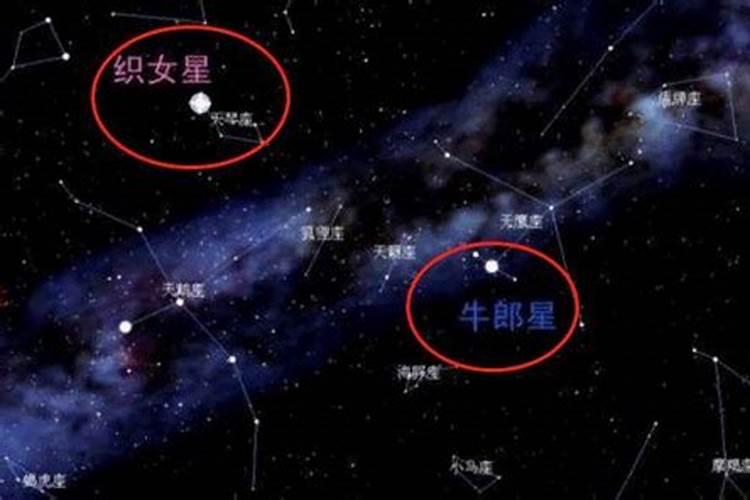 牛郎星属于哪个星座的守护星