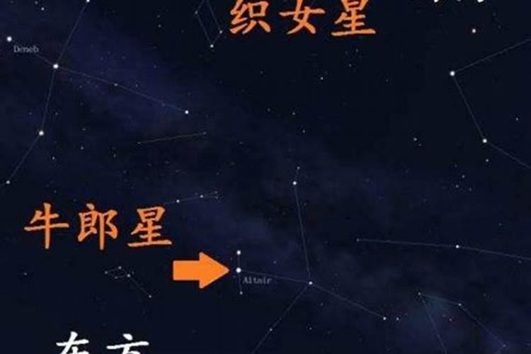 牛郎星属于哪个星座的守护星