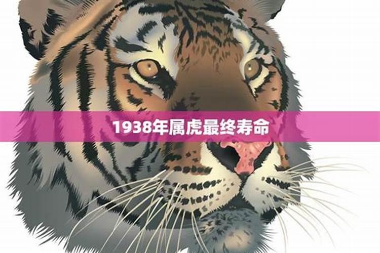 1985年的人在2023年运势如何