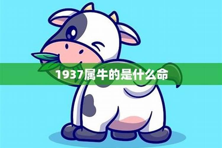 1937年属虎的是什么命