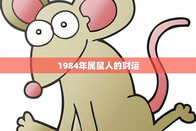 1999属兔2023年的感情