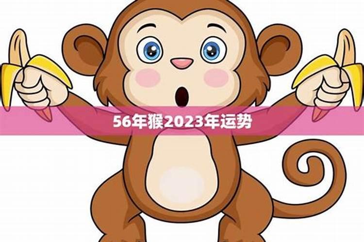 2022猴年的运势如何