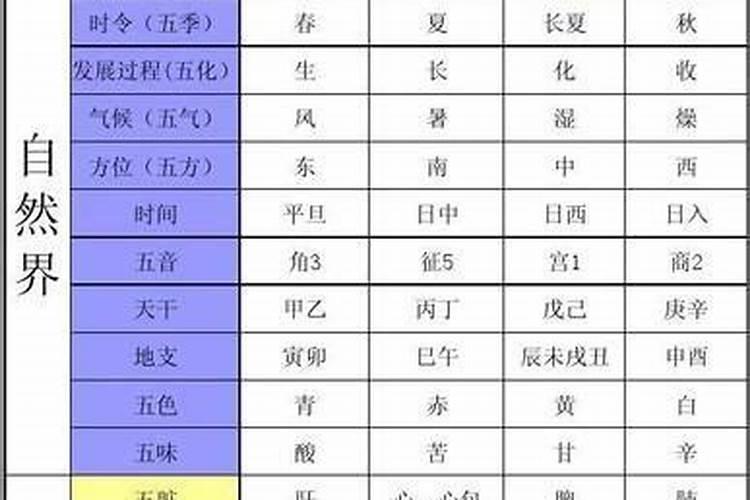 名字的五行属性