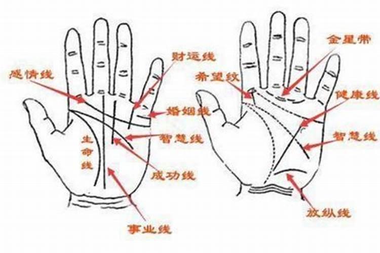 12月6日的射手是那类射手