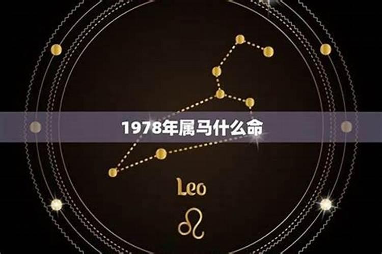 1978年属什么的多大年龄