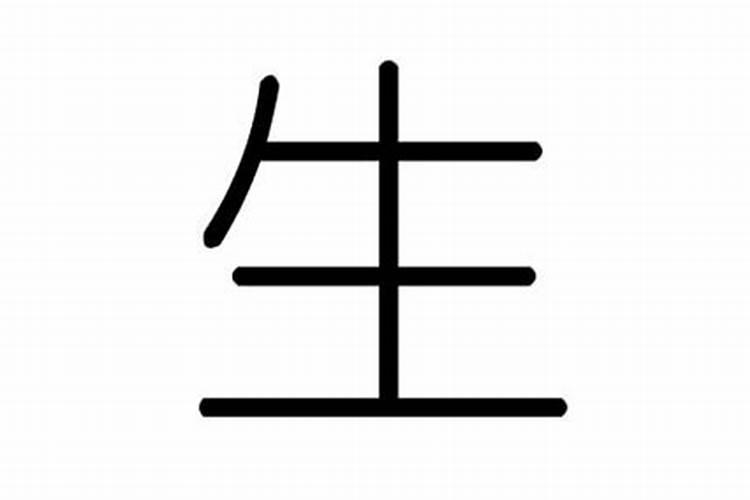 生字五行属什么,有什么意义