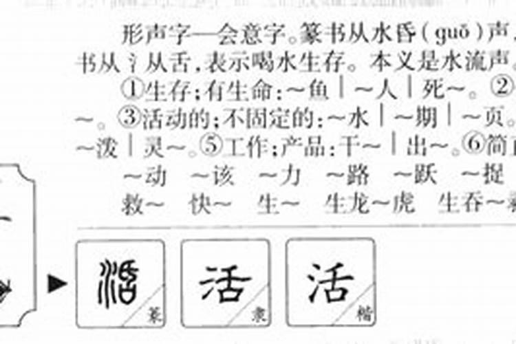 活字的五行属什么意思