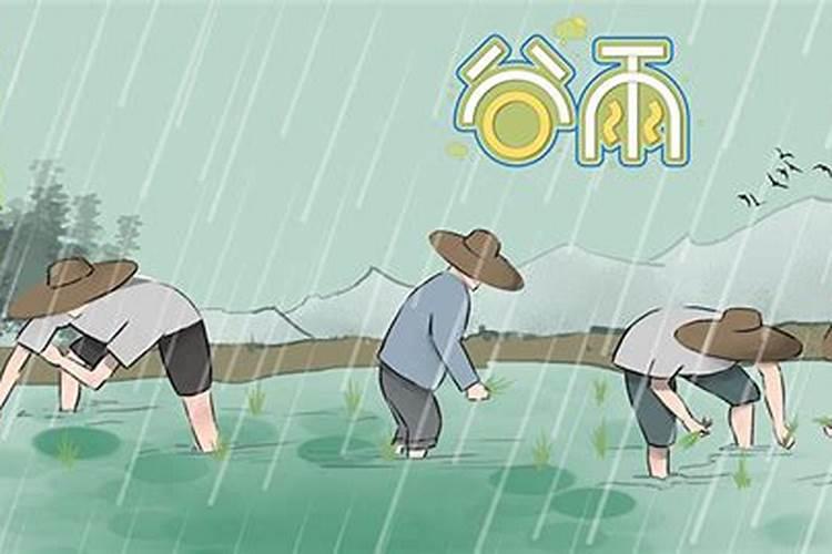 谷雨代表什么生肖或数字