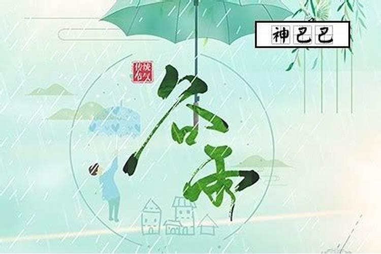 谷雨代表什么生肖或数字