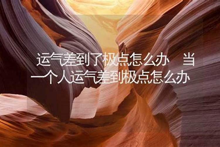 属兔的2022年几月结婚好