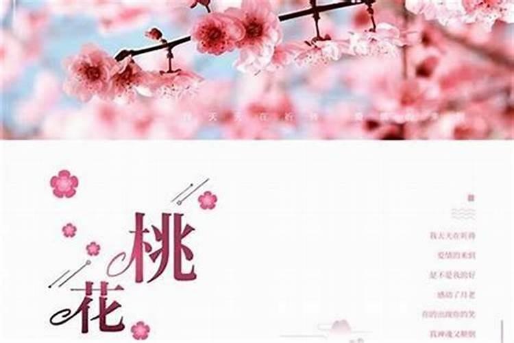 八字命格怎么看正桃花