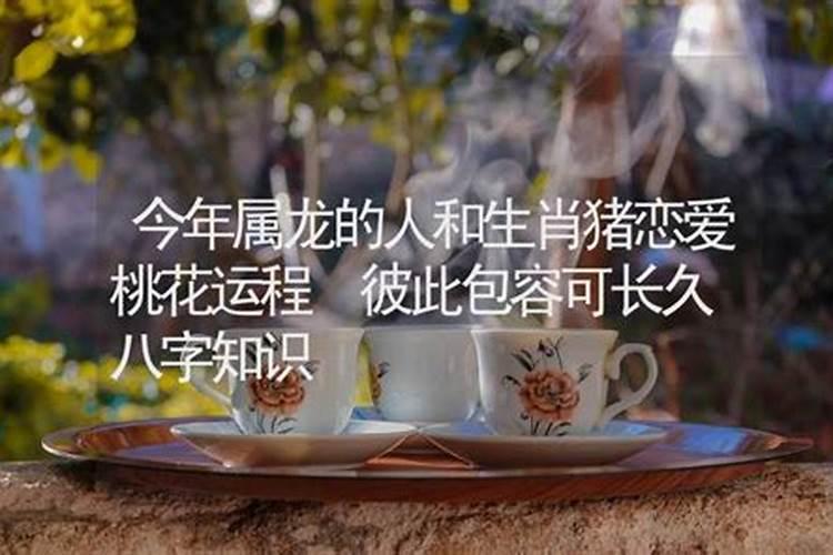 属猴和属虎的孩子合不合