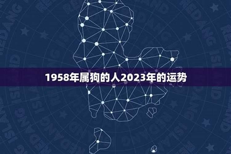 属狗的人2023年运程