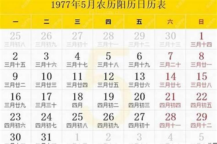 1977年11月出生的人的命运