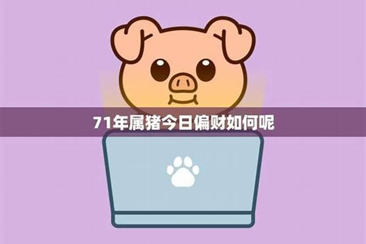 六个合生肖是什么意思