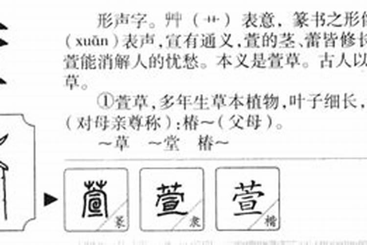 萱字五行属什么属性和含义