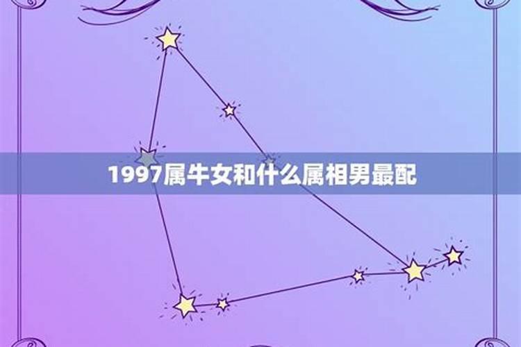 1990年属马女和1997年属牛男配吗