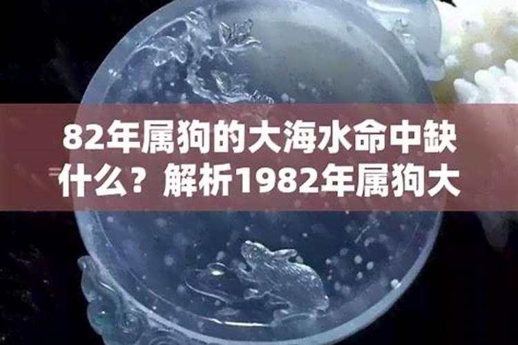 82年属狗大海水命的人适合戴什么