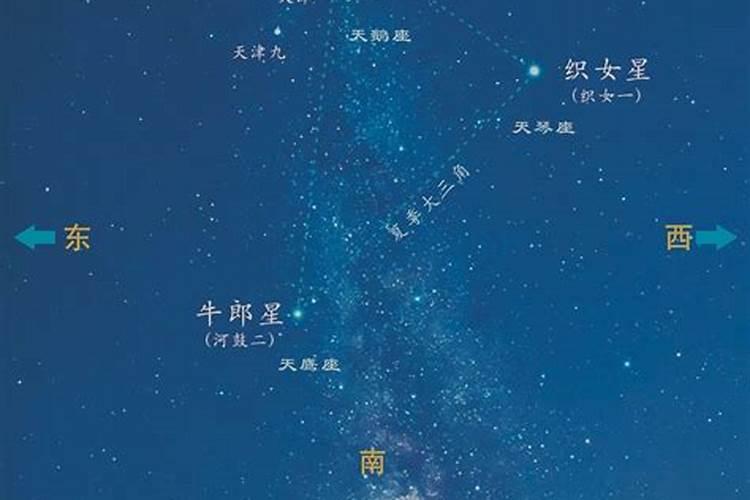 织女星代表什么生肖打一肖