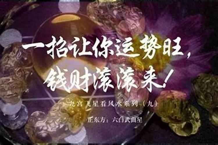 属牛阴历七月运气如何