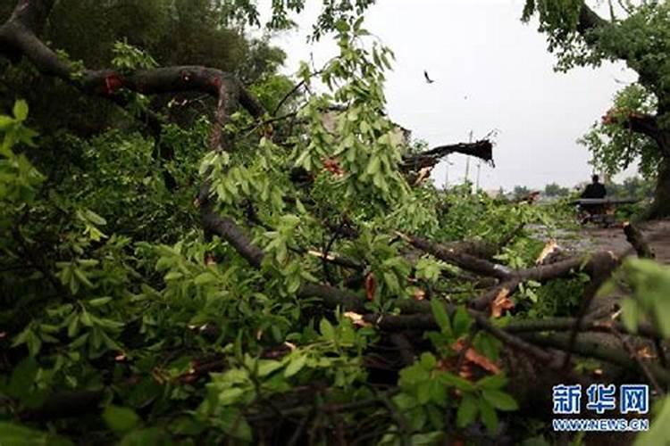 运气不好被骗了怎么破解呢