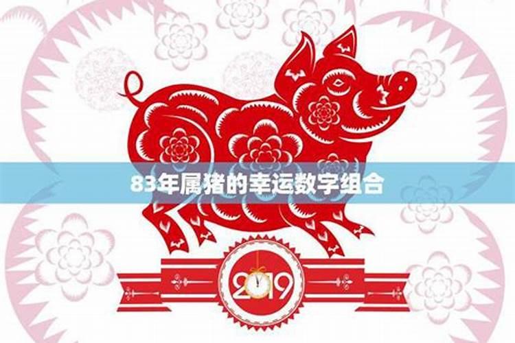 属猪今年幸运数字