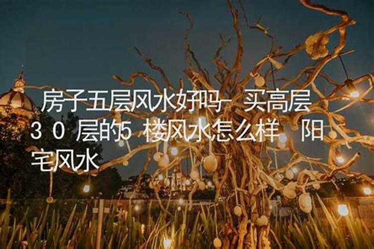 五楼的风水好不好