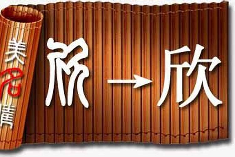 欣字五行属什么,有什么