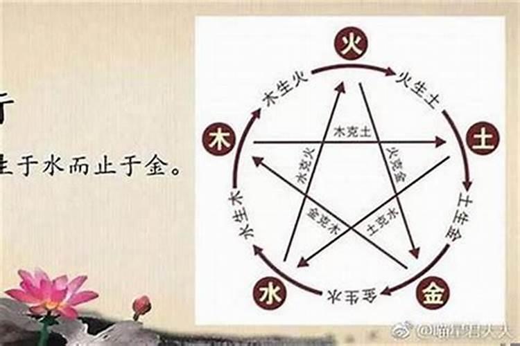 梦见被一只狗追着咬出血是什么意思