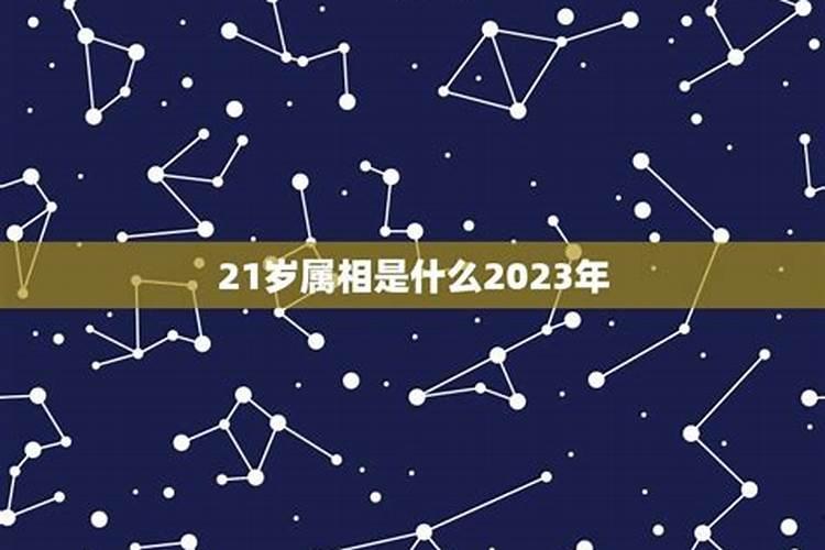 今年21岁虚岁属什么生肖呀