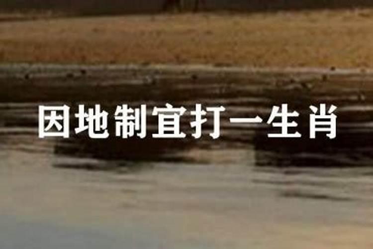 明湖晓月打一生肖