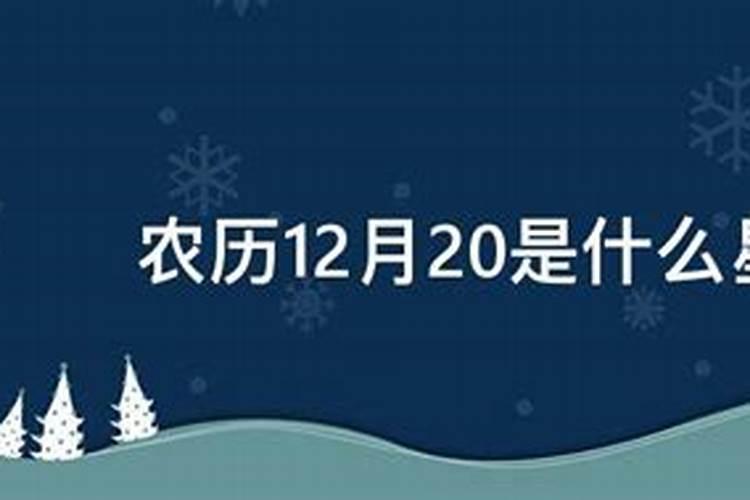 农历12月20日什么星座啊