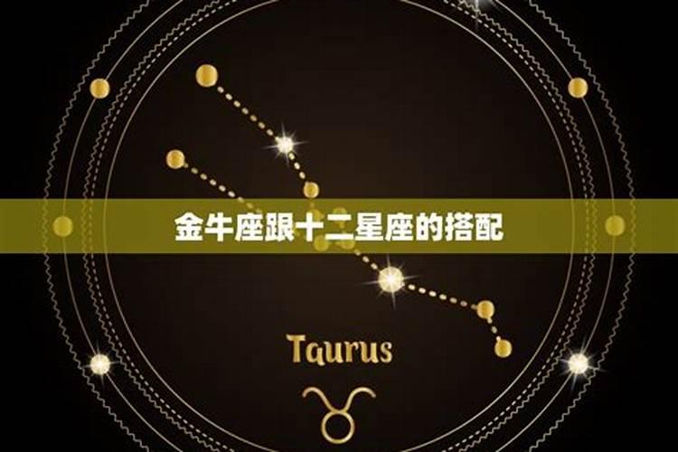 金牛座男配对星座排名