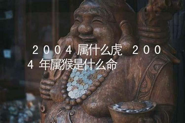 2004年属猴的啥命