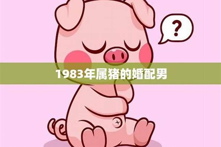 1983年属猪的婚配表