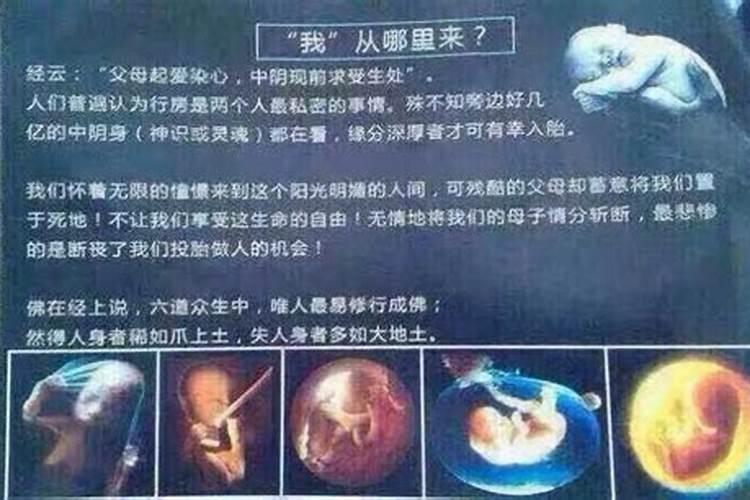 梦见老家的旧房子和周围环境