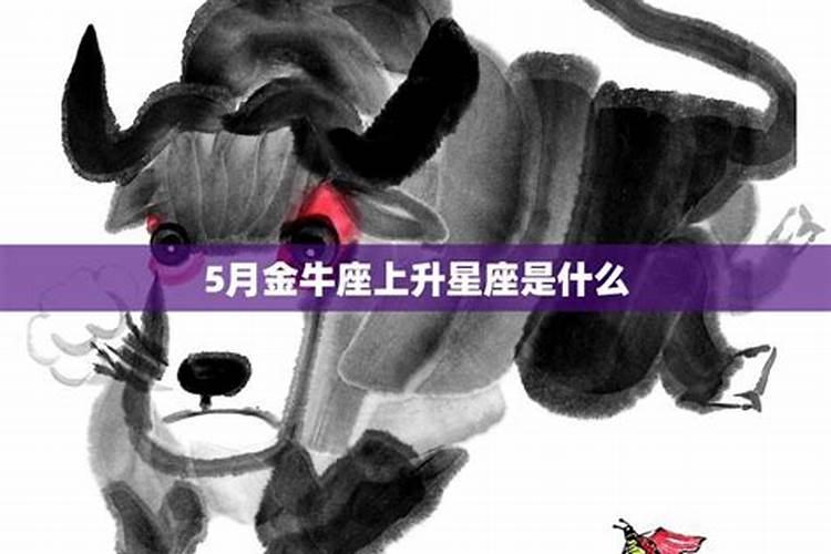 520金牛座上升星座是什么