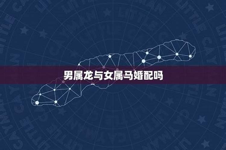 属牛的2024年运势如何九月