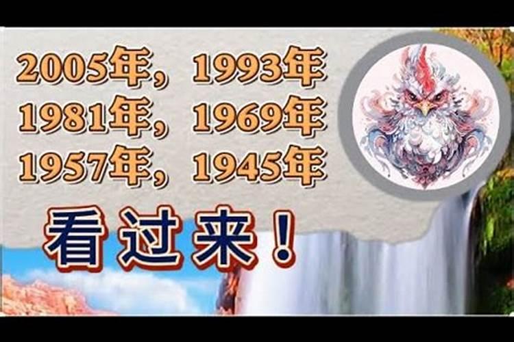 属鼠在2021年运势及运程怎么样