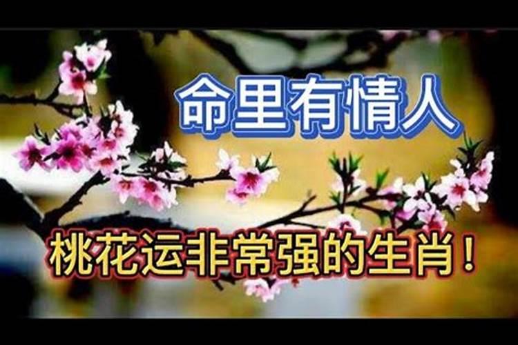 梦见自己被判死刑了是什么意思