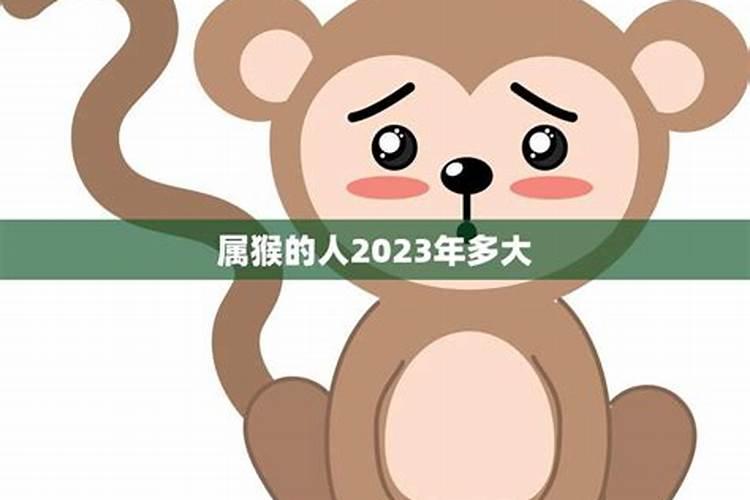 属猴的2023年多大